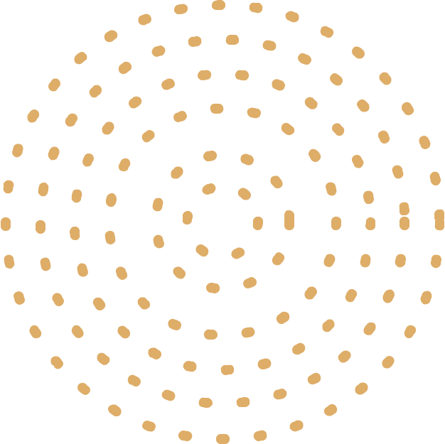 Risorsa 6